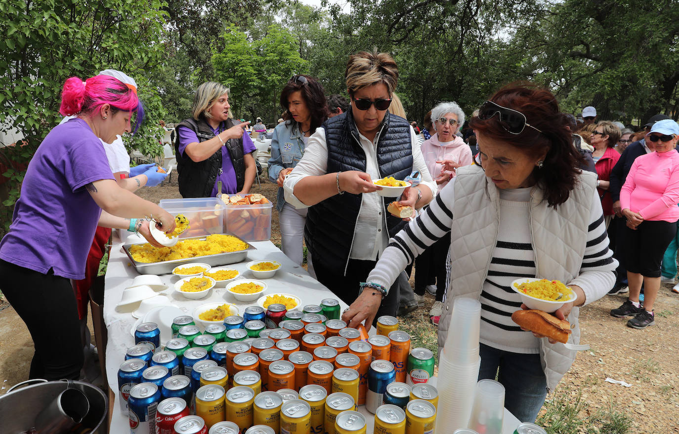 Las Aulas de Mayores de Palencia despiden el curso