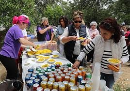 Las Aulas de Mayores de Palencia despiden el curso