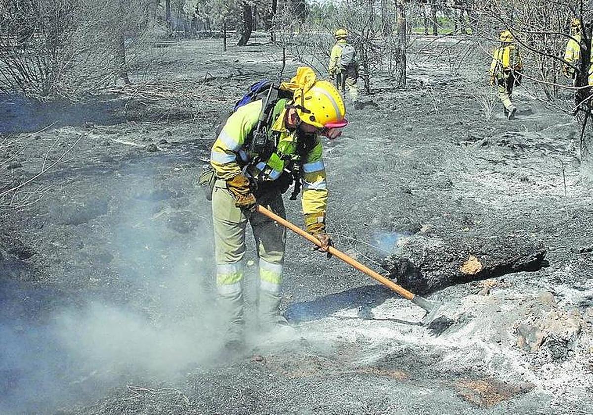 Agentes medioambientales apagan rescoldos en un incendio ocurrido en la provincia de Segovia.