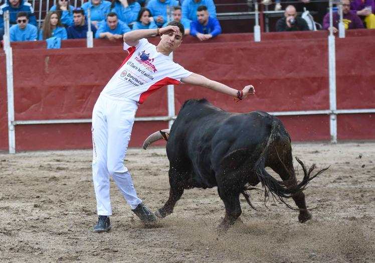 Imagen principal - Diferentes momentos del festejo. Toropasión