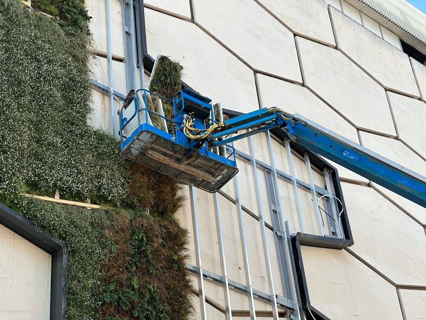 Desmontaje del jardín vertical en la fachada de El Corte Inglés.