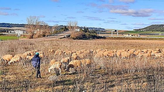 Publicados los beneficiarios de las ayudas de medidas agroambientales y climáticas