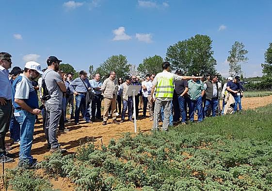 El consejero, Gerardo Dueñas, durante su participación en eta jornada.