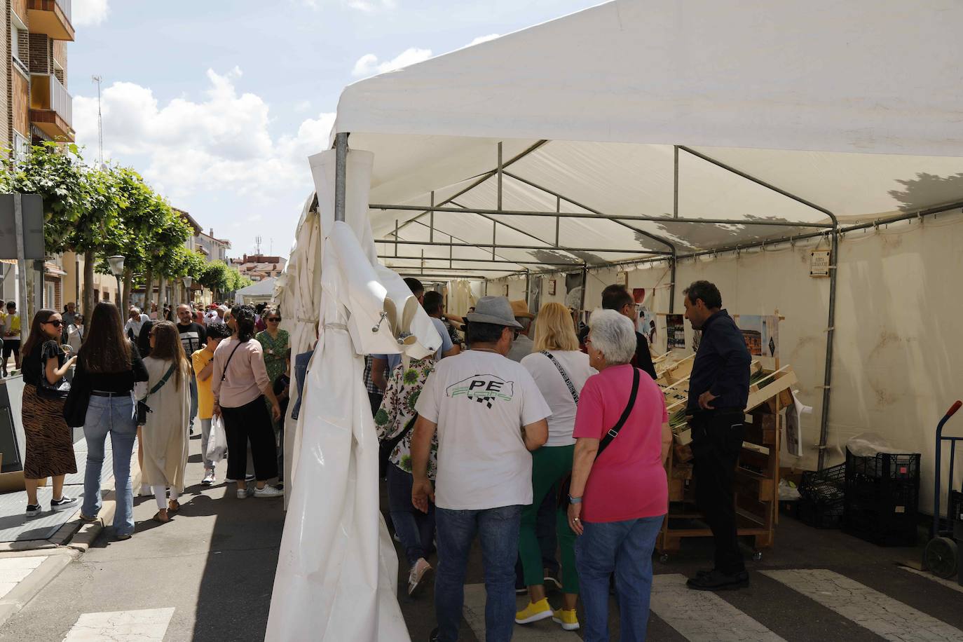 La Feria del Espárrago de Tudela de Duero, en imágenes