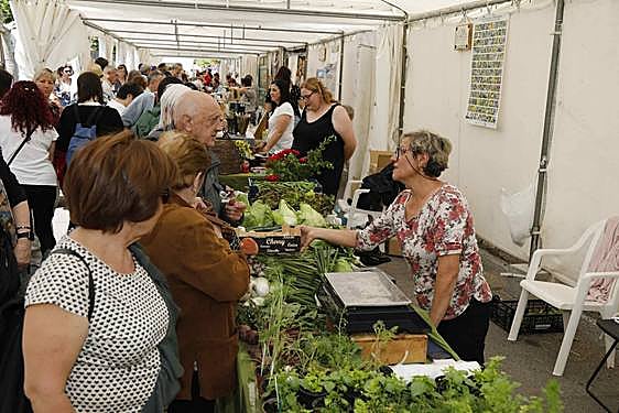 La Feria del Espárrago de Tudela de Duero, en imágenes