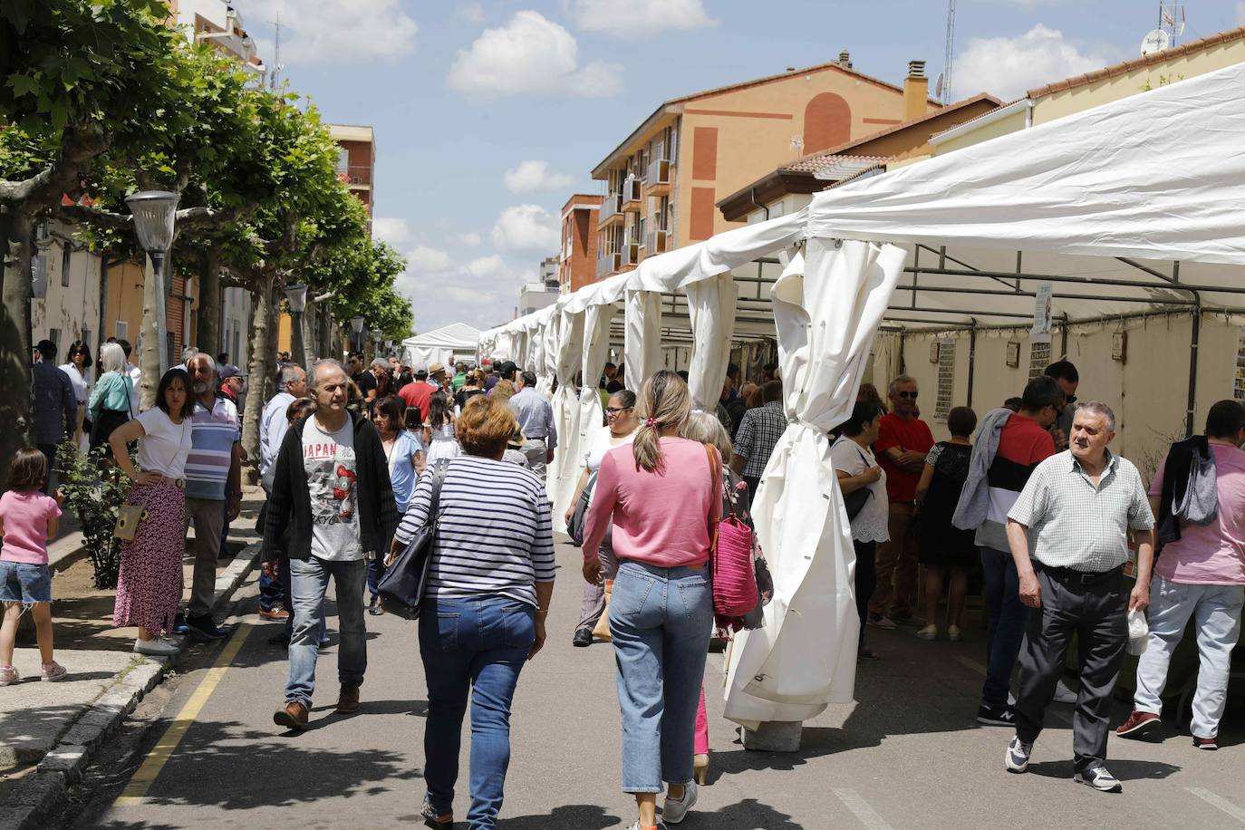 La Feria del Espárrago de Tudela de Duero, en imágenes