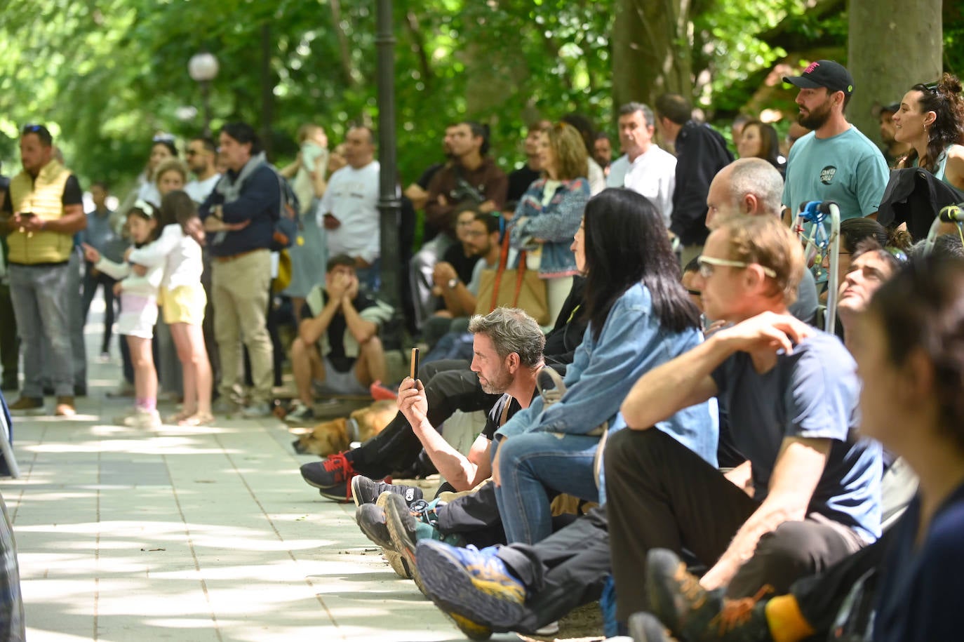 XX Campeonato de España de Trepa de Árboles en el Campo Grande de Valladolid