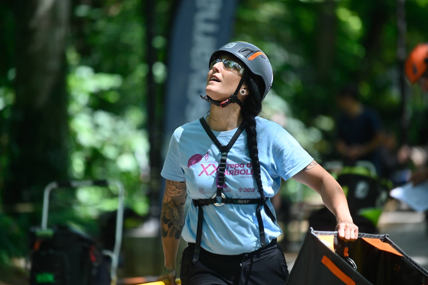 XX Campeonato de España de Trepa de Árboles en el Campo Grande de Valladolid
