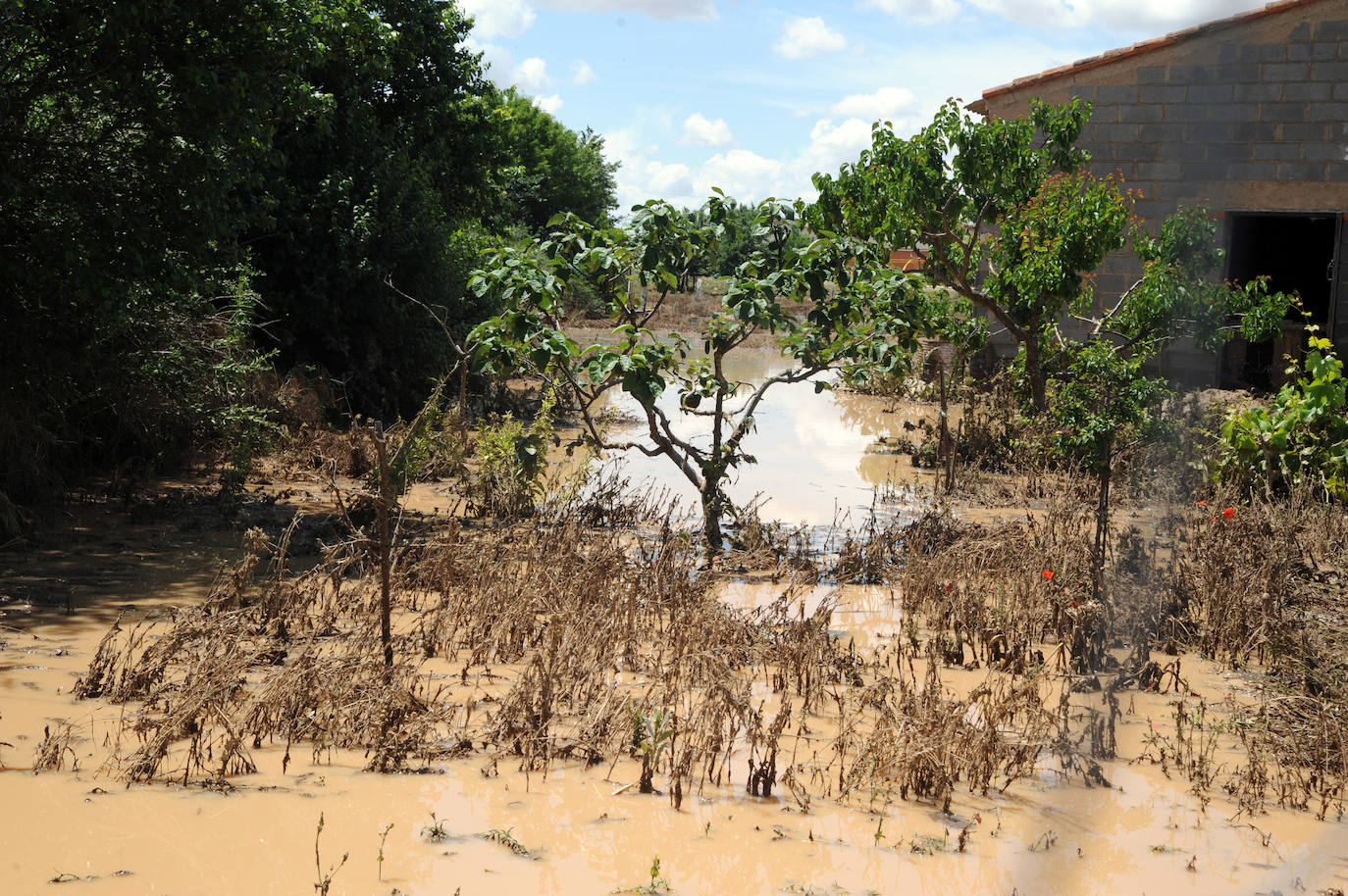 Las imágenes de la inundación en Alaejos