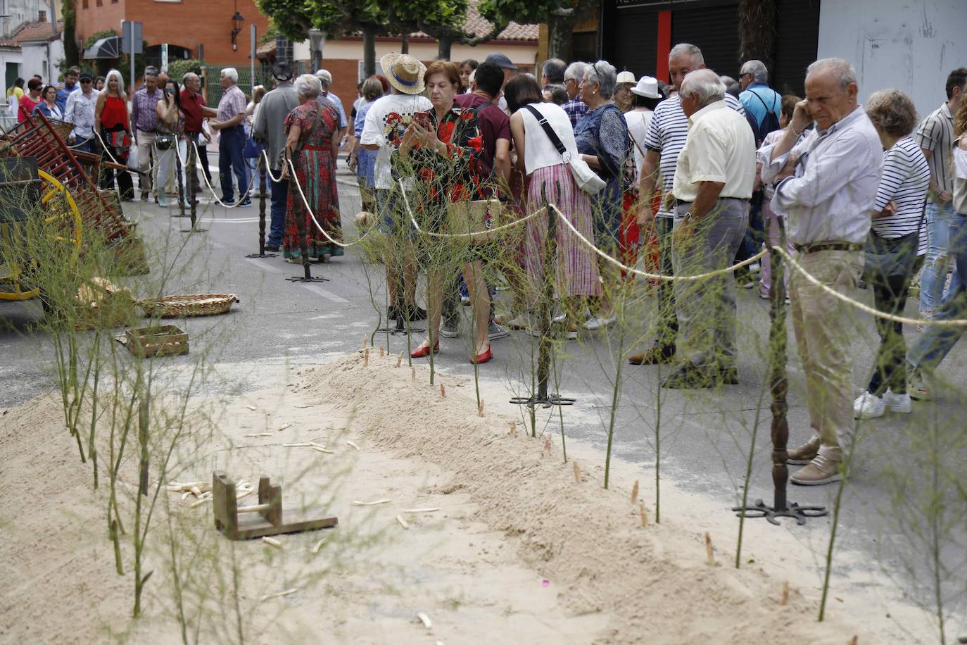 La segunda jornada de la Feria del Espárrago de Tudela, en imágenes