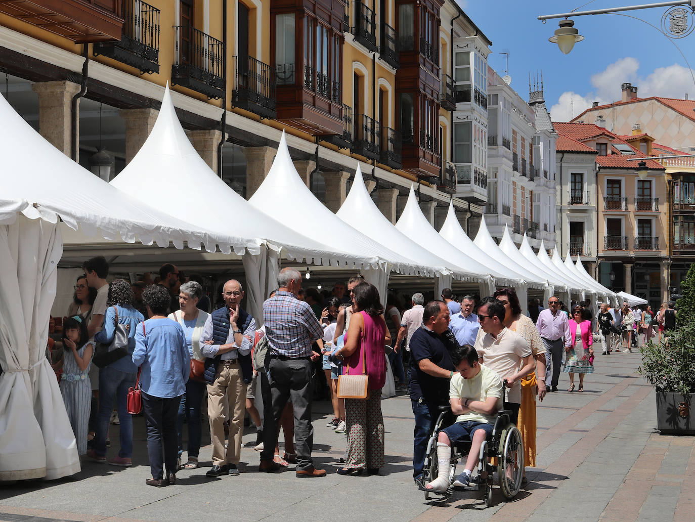 La Feria Chica da los últimos coletazos en Palencia