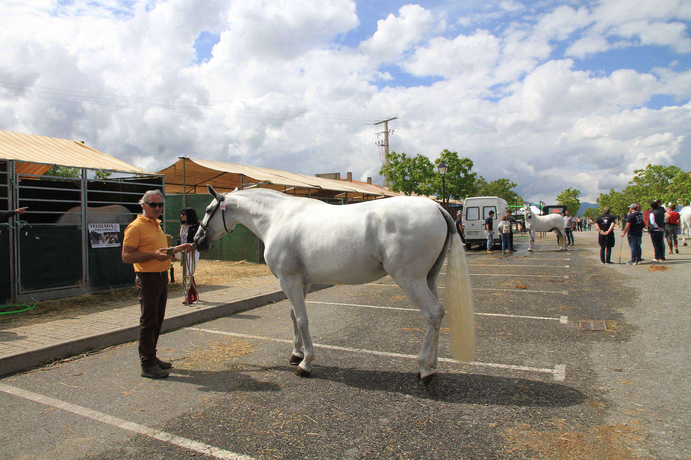 Concurso de caballos en Trescasas