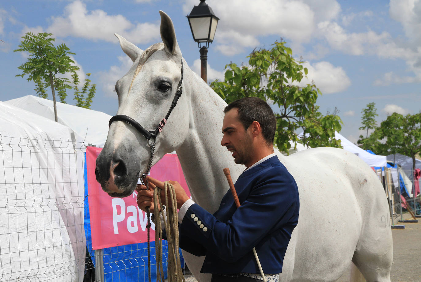 Concurso de caballos en Trescasas