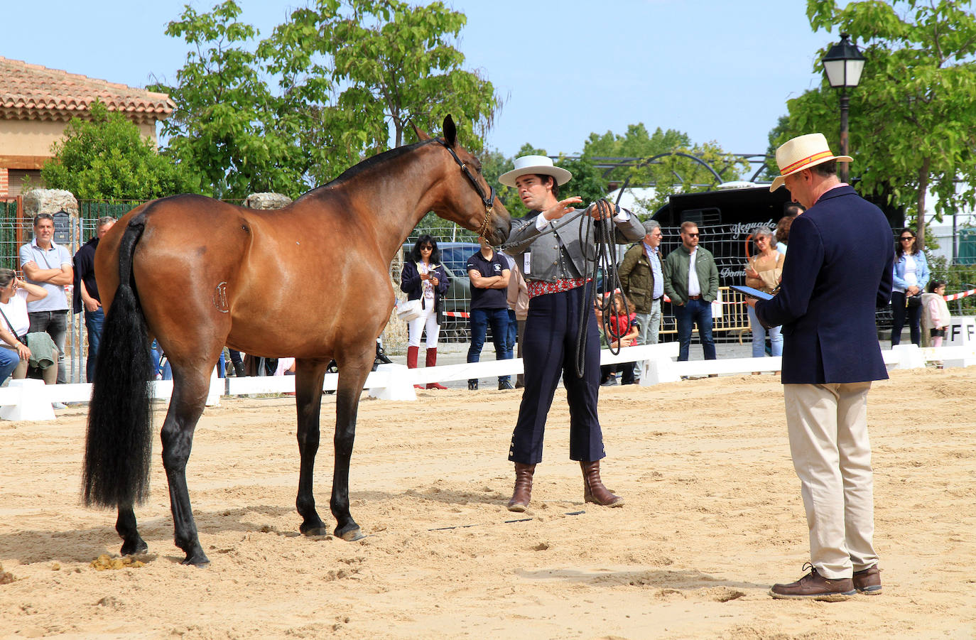 Concurso de caballos en Trescasas