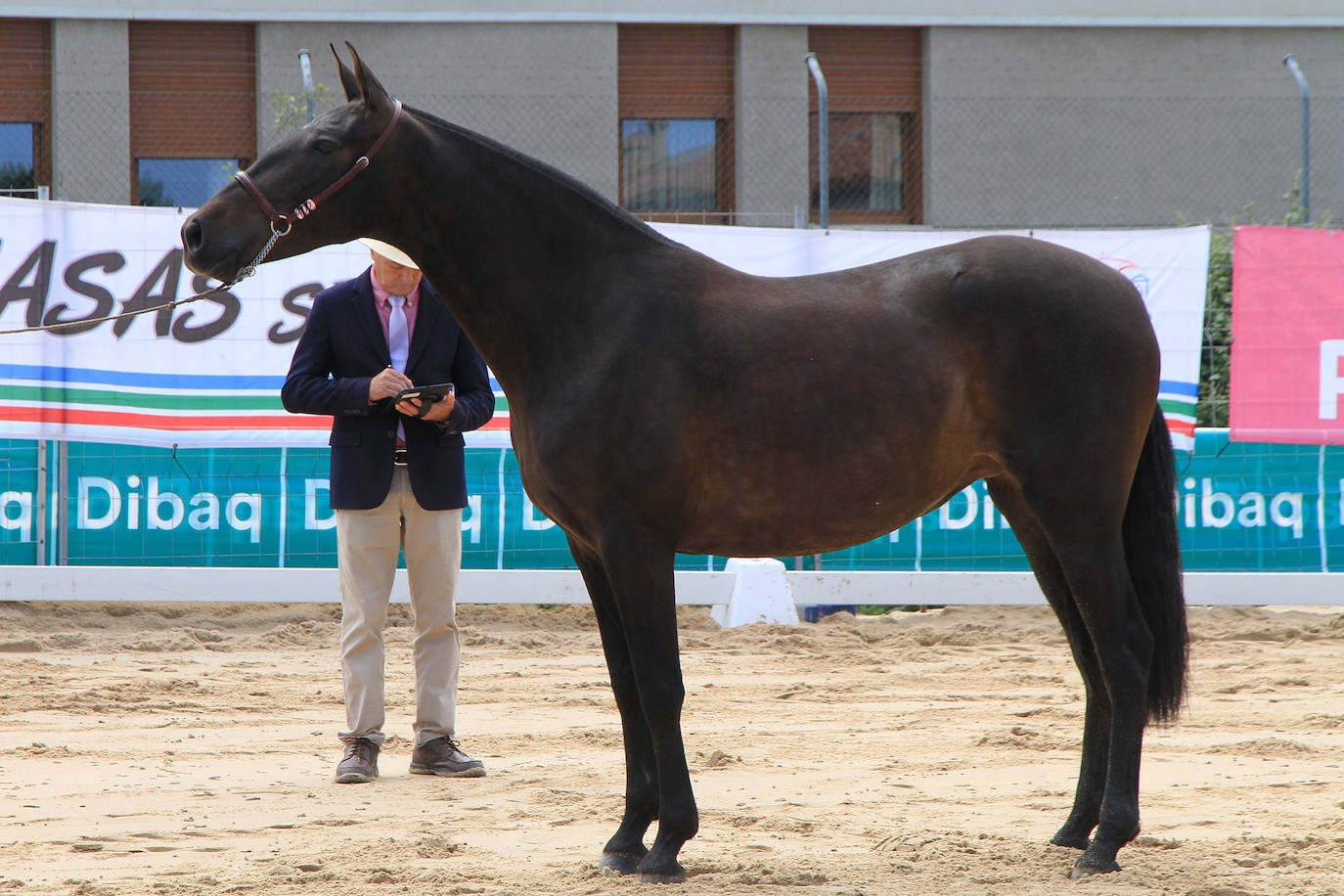 Concurso de caballos en Trescasas