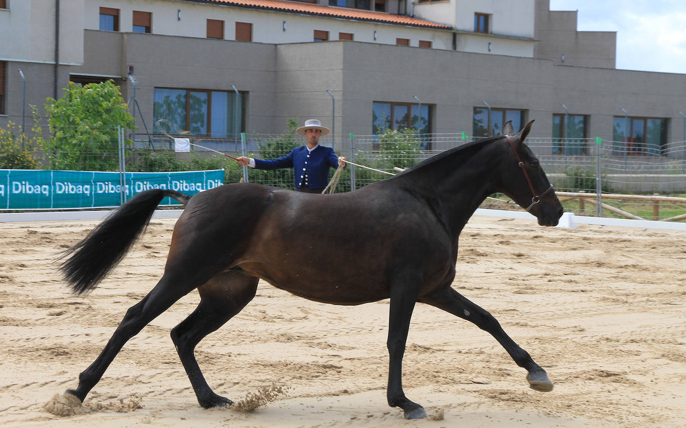 Concurso de caballos en Trescasas