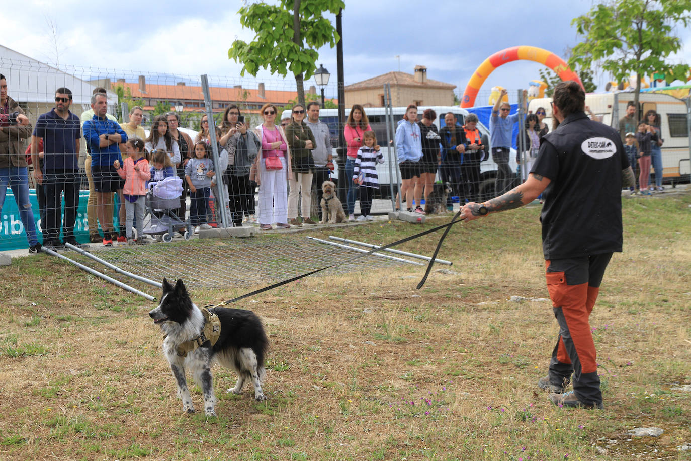 Concurso de caballos en Trescasas