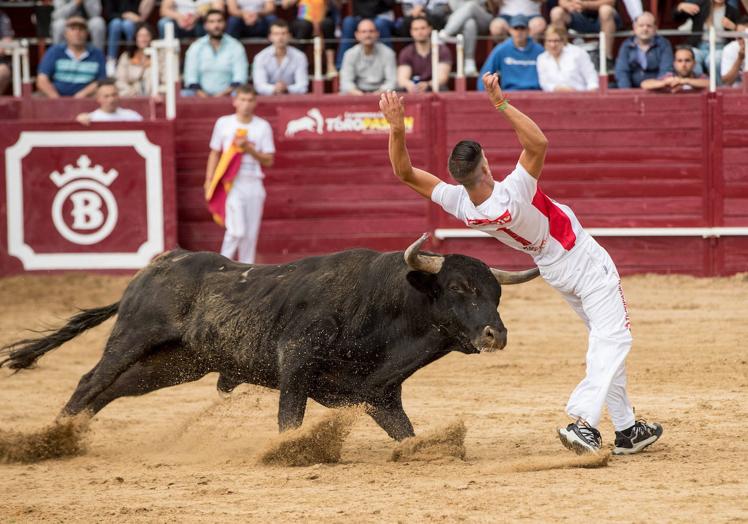 Imagen principal - Diferentes momentos del concurso. Toropasión
