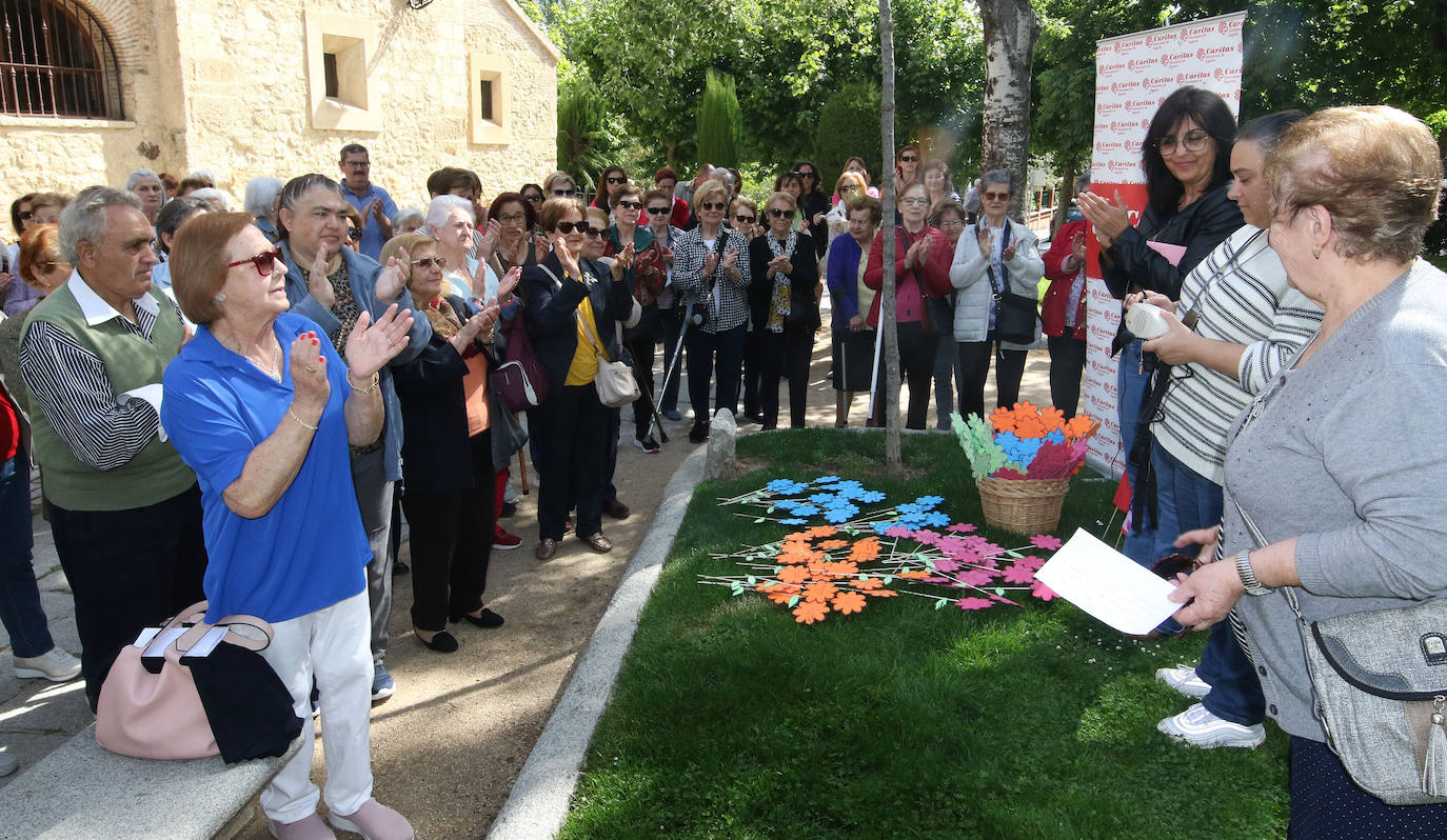 Plantación simbólica contra el maltrato a las personas mayores