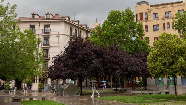 Imagen después - El libro que hace 40 años recopiló las mejores postales históricas de Valladolid