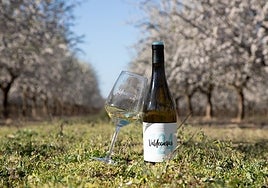 Valdecuevas 724 Viognier sale al mercado con 1.490 botellas