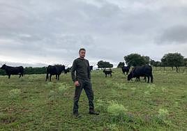 El ganadero salmantino, Ángel Calderero, junto a un lote de vacas moruchas en su explotación de Aldea del Obispo.