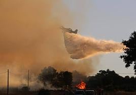 Incendio en Losacio de Alba, en la provincia de Zamora, el verano pasado.