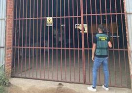 Un agente de la Guardia Civil, en una de las explotaciones.