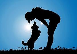 Tus mascotas, en las mejores manos