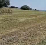 El tiempo en el campo de Castilla y León de la última semana de junio