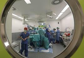 La AECC de Valladolid aplaude el derecho al olvido oncológico: «Hay vida tras un cáncer»