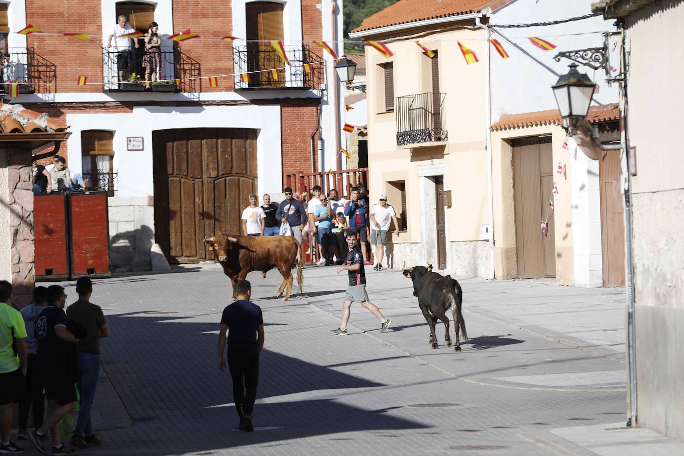 Encierro del sábado por la mañana en Traspinedo