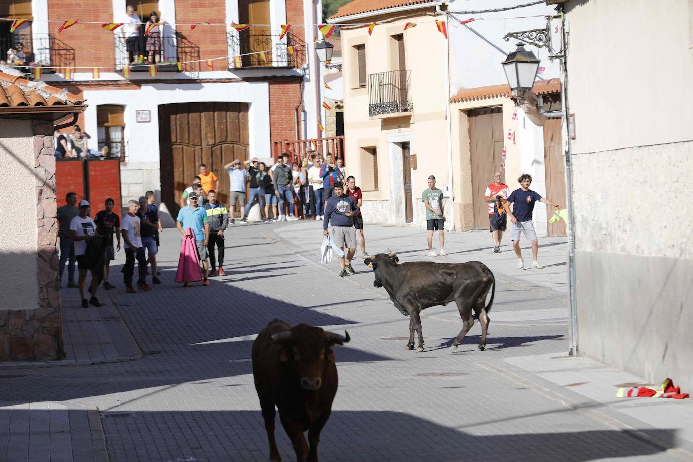 Encierro del sábado por la mañana en Traspinedo