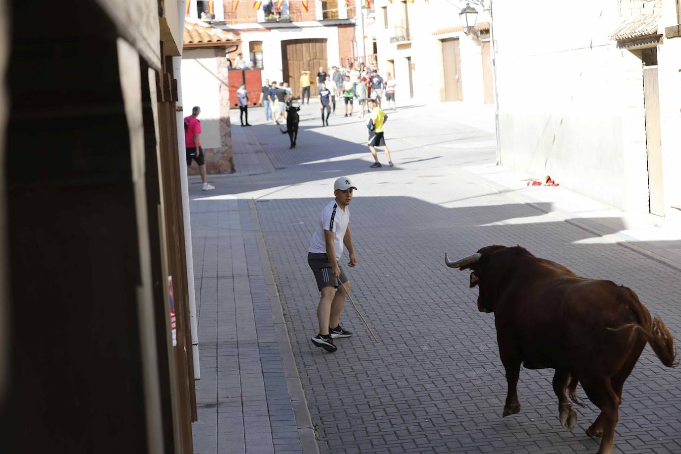 Encierro del sábado por la mañana en Traspinedo