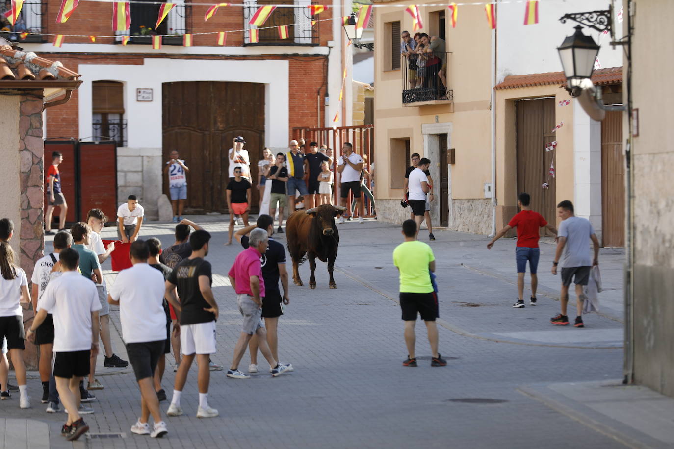 Último encierro en Traspinedo