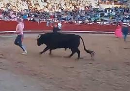 Ismael Viana, momentos antes de ser embestido por el toro.