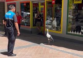 Un policía junto a la cigüeña, este martes en la avenida de la Constitución.