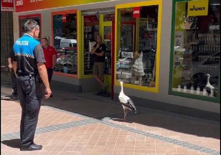 Un policía junto a la cigüeña, este martes en la avenida de la Constitución.