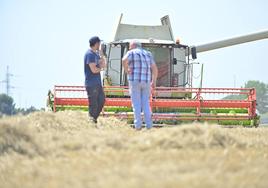 Dos agricultores intercambian opiniones en una parecela de cebada recién segada en la provincia de Valladolid.