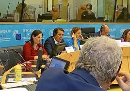 Juan Carlos Suárez-Quiñones, consejero de Medio Ambiente, Vivienda y Ordenación del Territorio, en el Comité de las Regiones