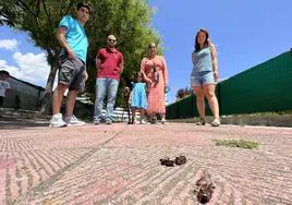 Vecinos afectados por cucarachas en el barrio vallisoletano de Villa del Prado.