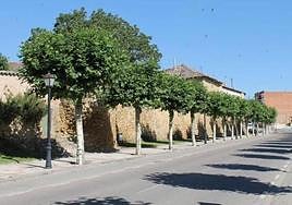 Imagen de la muralla en la localidad palentina de Carrión.
