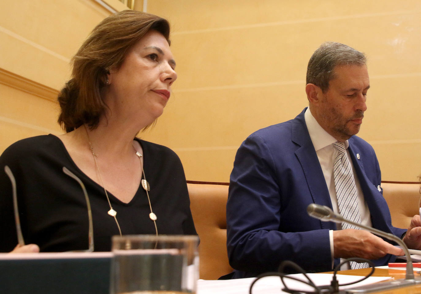 Pleno del Ayuntamiento de Segovia