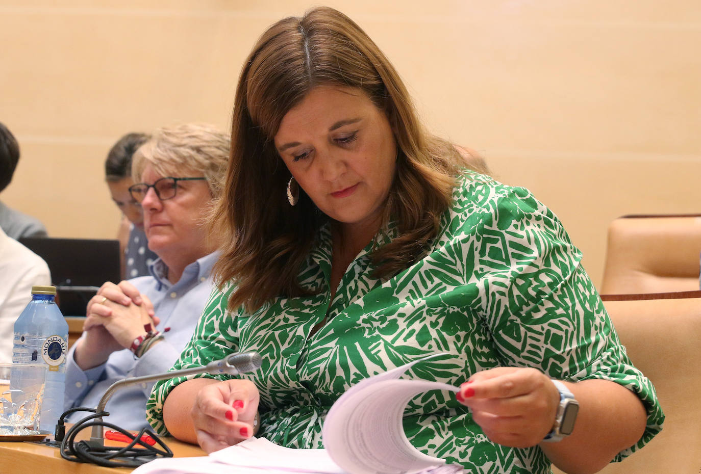 Pleno del Ayuntamiento de Segovia