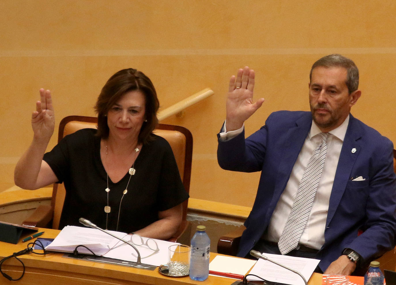 Pleno del Ayuntamiento de Segovia