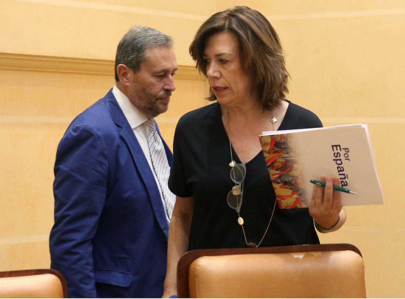Pleno del Ayuntamiento de Segovia