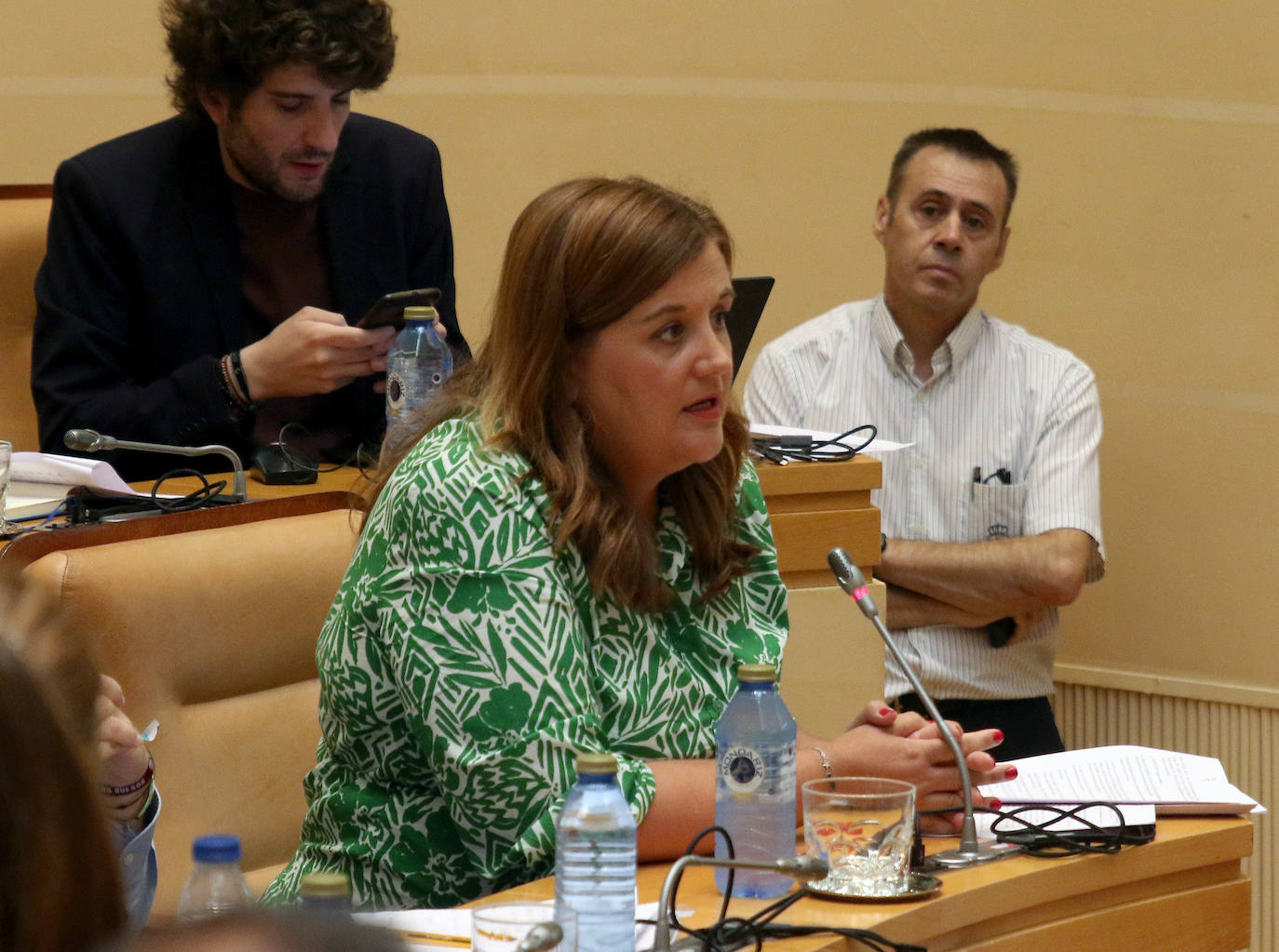 Pleno del Ayuntamiento de Segovia