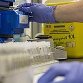 Investigan si la picadura de una garrapata mató a un hombre en Valladolid