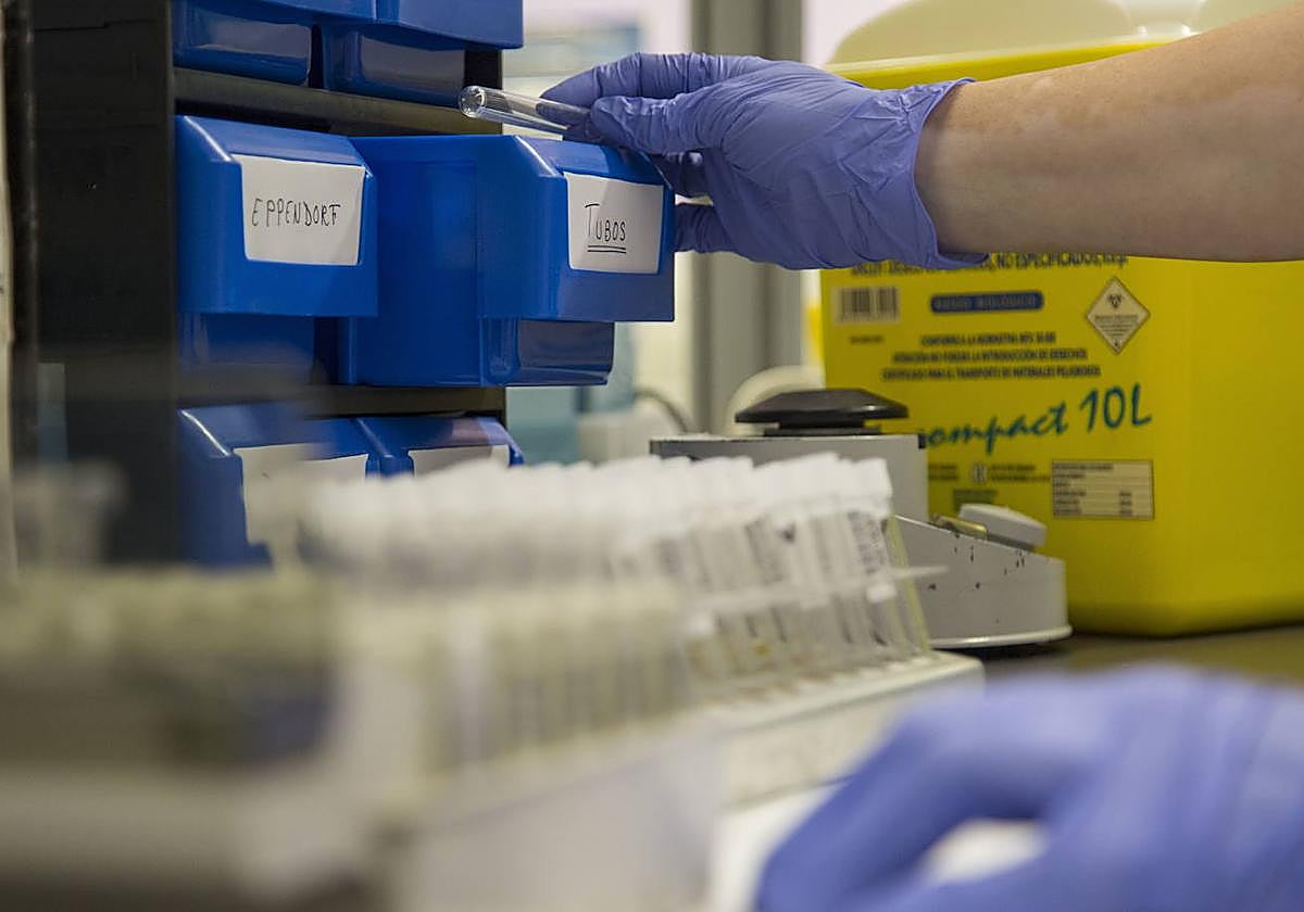 El servicio de Microbiología del Hospital Clínico de Valladolid, en una imagen de archivo.