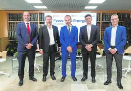 Castilla y León, pionera en producir electricidad con energías renovables